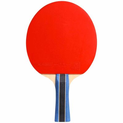 9. Cornilleau Sport 200 Tischtennisschläger