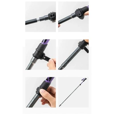 8. Qunature Nordic Walking Trekkingstock Aluminium 110 – 130 cm 1 Stk. - Lila