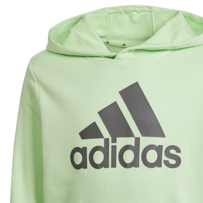6. Adidas Big Logo Hoodie Jr IS2591 Sweatshirt