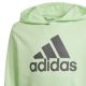 6. Adidas Big Logo Hoodie Jr IS2591 Sweatshirt