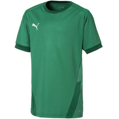 5. Puma teamGOAL 23 Trikot Jr 704160 05