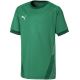 5. Puma teamGOAL 23 Trikot Jr 704160 05