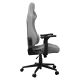 5. COUGAR CGR-EPF-ROA Universeller Gaming-Stuhl Grau