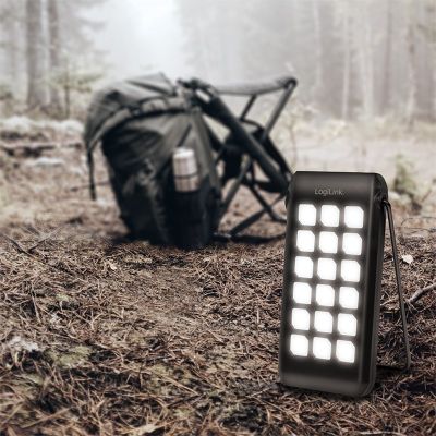 9. LogiLink PA0273 Powerbank 10000 mAh Schwarz
