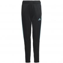 adidas Tiro 23 Club Training Jr Hose IC1588