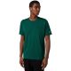 Herren Champion SS Tee Grün 221798 GS584