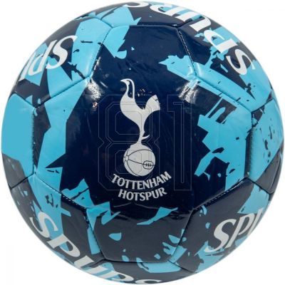 Fußball Tottenham Hotspur 70098224