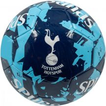 Fußball Tottenham Hotspur 70098224