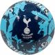 Fußball Tottenham Hotspur 70098224