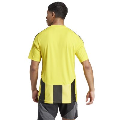 4. Adidas Striped 24 JSY M T-Shirt IW2146