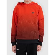 Jungen-Kapuzenpullover mit Allover-Print 4F 4FJWAW26TSWSM2687-94A