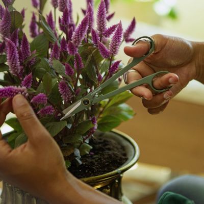 4. FISKARS Plant Care Topfpflanzen-Pflegewerkzeugset (1075317) (3-teilig)