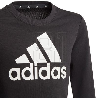 6. Adidas Essentials Big Logo Jr GP0040 Sweatshirt