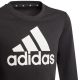 6. Adidas Essentials Big Logo Jr GP0040 Sweatshirt