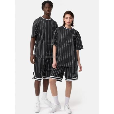 3. Karl Kani Chest Varsity Pinstripe Mesh Tee Hell M 6038524