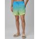 2. Herren-Boardshorts 4F 4FWSS26UBDSM168-33S