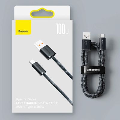 17. Baseus Dynamic Series USB-Kabel - USB Typ C 100W 1m grau (CALD000616)