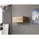 VIGO '90' Vitrine, voll, 90/35/32, Eiche, Wotan