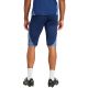 10. adidas Tiro 25 Competition 1/2 M JI6544 Shorts