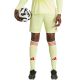 Herren adidas Tiro 24 Shorts gelb und rot JI6090