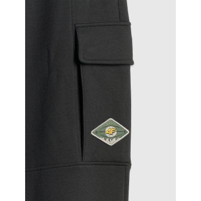 9. Herren-Cargo-Jogginghose 4F 4FRSS26TTROM1916-20S