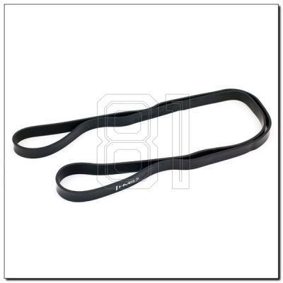 4. Exercise rubbers HMS GU05 BLACK 22 x 4.5 x 2080 MM 17-33-022