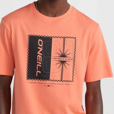 4. O'Neill Mix & Match Palm T-Shirt M 92800613905
