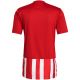 11. adidas Striped 21 Jersey M GN7624