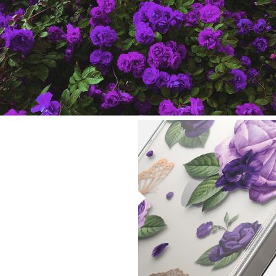 10. Ringke Fusion Design Armoured Case Cover mit Gelrahmen für iPhone 14 Plus transparent (Purple Rose) (FD637E29)