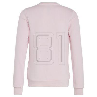 2. Sweatshirt adidas Big Logo Swt Jr IC6119