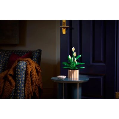 7. LEGO Botanical 11504 Spathiphyllum in einem Topf