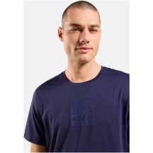 Herren-T-Shirt Odlo ASCENT SUN. SEA. MOUNTAINS. Rundhalsausschnitt, kurzärmelig, blau