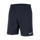 Nike Park 20 Fleece-Shorts für Junioren CW6932-451