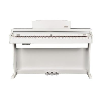Artesia DP-3+ WH PVC - Digitalpiano