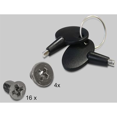 7. Delock 5,25"-Einschub für 4 x 2,5"-SATA-Festplatten/SSDs