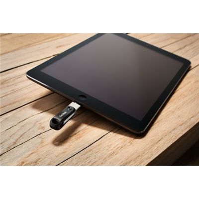 14. SanDisk iXpand GO SDIX60N-256G-GN6NE USB-Stick (256 GB; Lightning, USB 3.0; silber)
