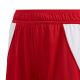 6. adidas Tiro 24 Jr IR9367 Shorts
