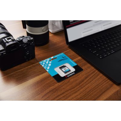 9. Kingston Canvas Go Plus SDG4/1TB Speicherkarte (1 TB; Klasse U3, V30; Speicherkarte)