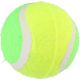 5. Tennisbälle für Hunde, 3 Stück, Farbe