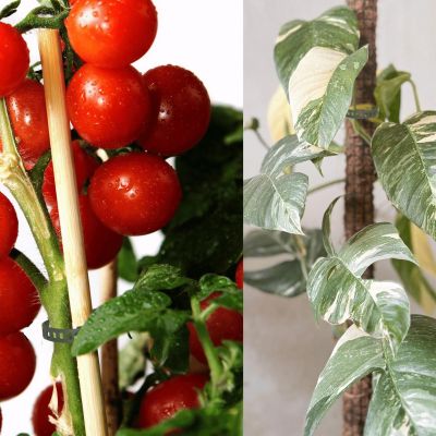 17. PFLANZENZUBEHÖR GARTENBAND 8-TEILIG PROGARDEN