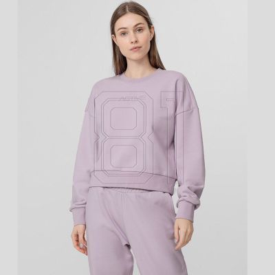 4. Sweatshirt 4F W H4L22-BLD023 52S