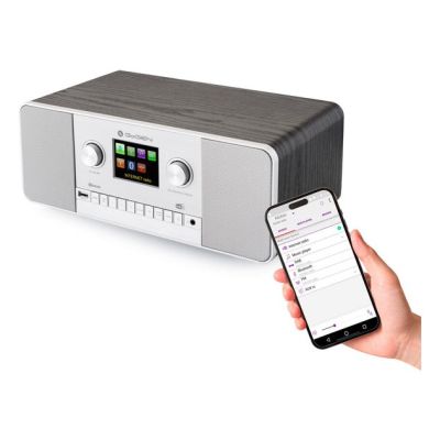 7. GoGen IR 257 BTDAB Digital Internet Silber