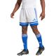 4. adidas Squadra 25 M JH3409 Shorts