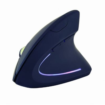 4. GEMBIRD MUS-ERGO-01 Maus (optisch; 3200 DPI; schwarz)
