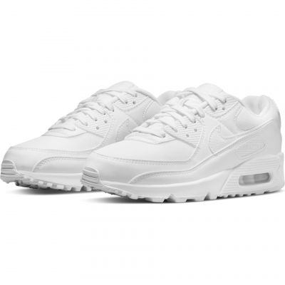 7. Nike Air Max 90 W DH8010-100