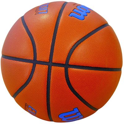 10. WILSON EVOLUTION 295 Spielbasketball Größe 7