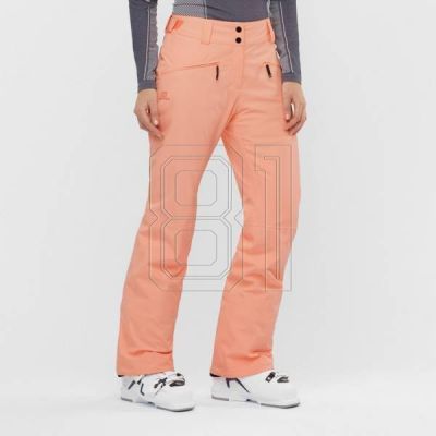 Salomon EDGE Snowboardhose W LC1387 400