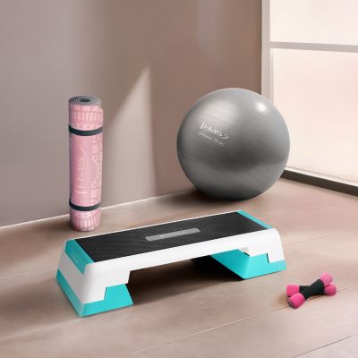 4. AS007 WEISS/MINZE AEROBICS STEP HMS PREMIUM