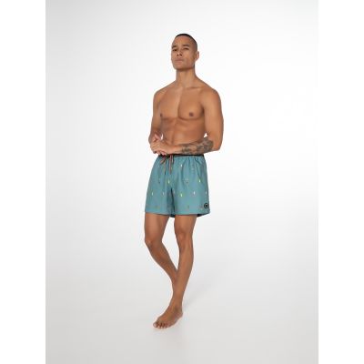 4. Herren-Badeshorts Protest PRTFIRDOWS Beachshorts