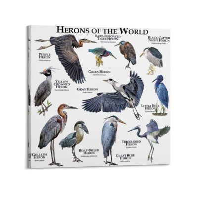 18. Samsung Galaxy A56 (A566) 5G DS. 8/256GB Awesome Pink